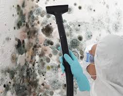 Mold Odor Removal Services